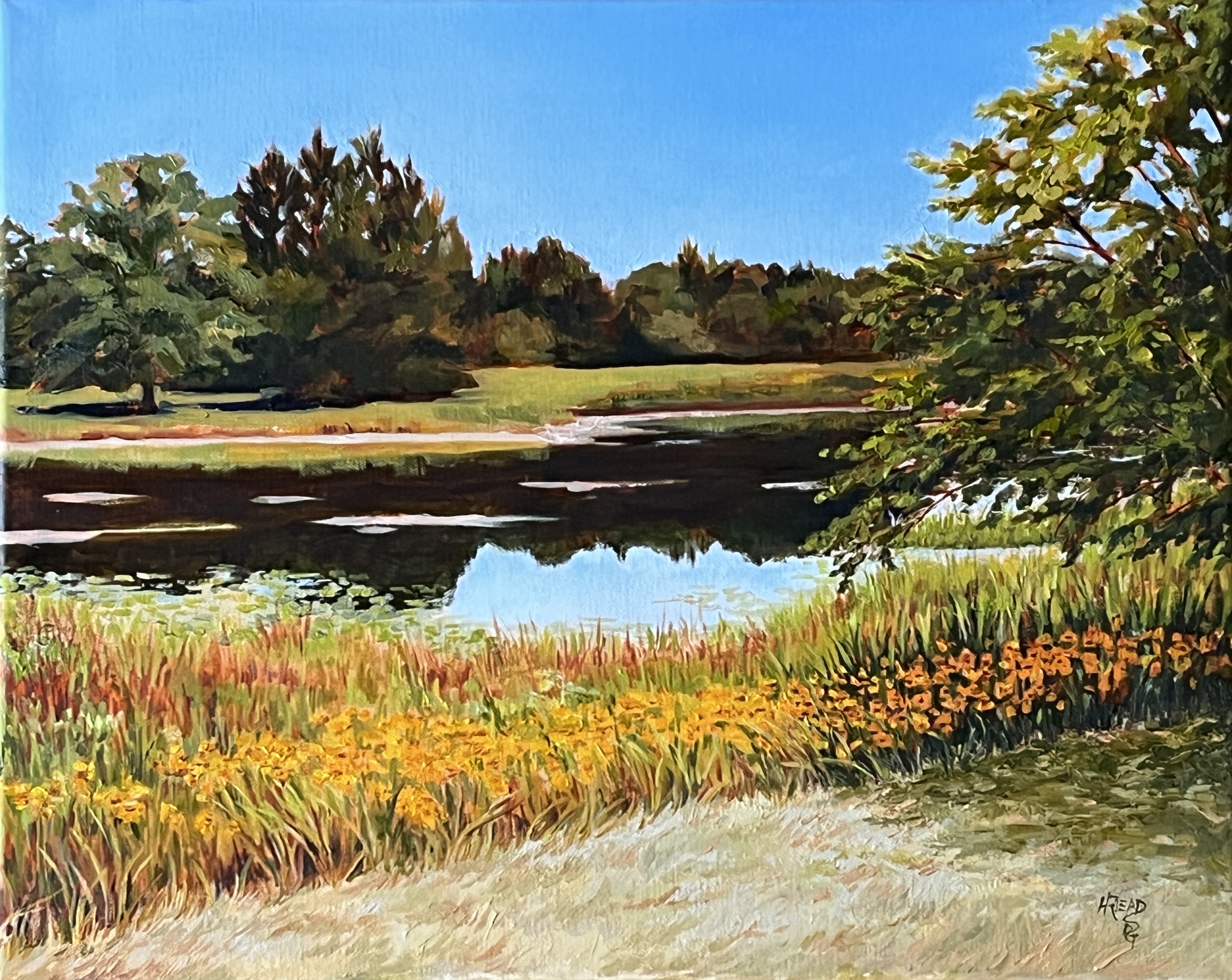 Landscape of summer day